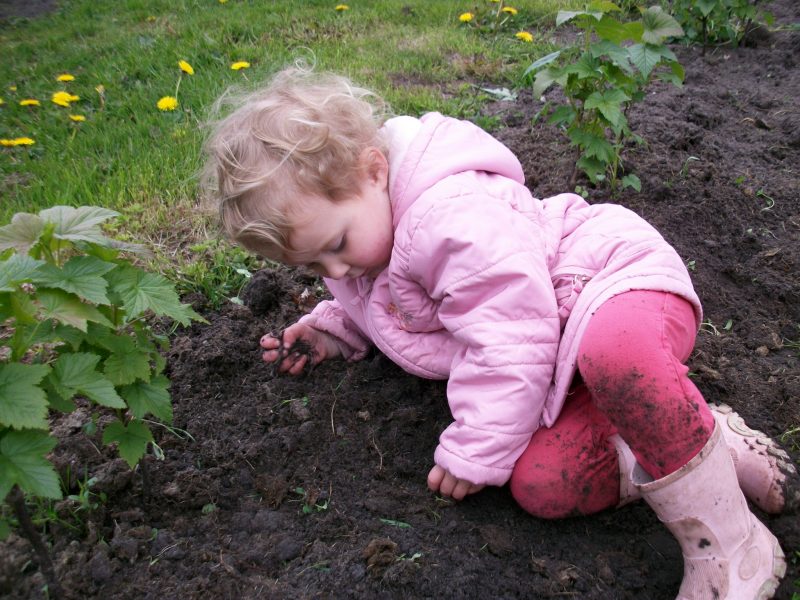 Foto - Kleinkind sammelt meditativ Regenwürmer