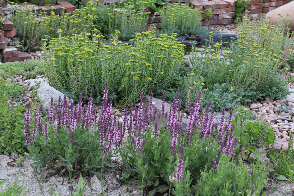 Garten - Hotspotzone für die Insekten im Hortus Aicara