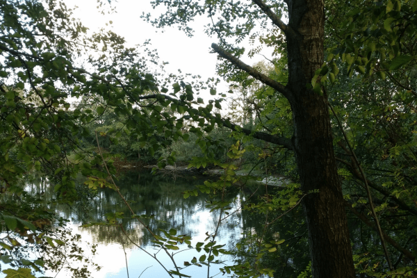 anteiliger Kiessee im Hortus Aicara