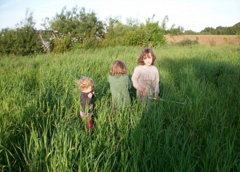 Bild von Kindern, die im hohen Gras spielen