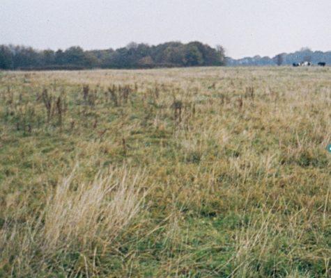 Bild - Land - Ausgangsbasis - November 2003