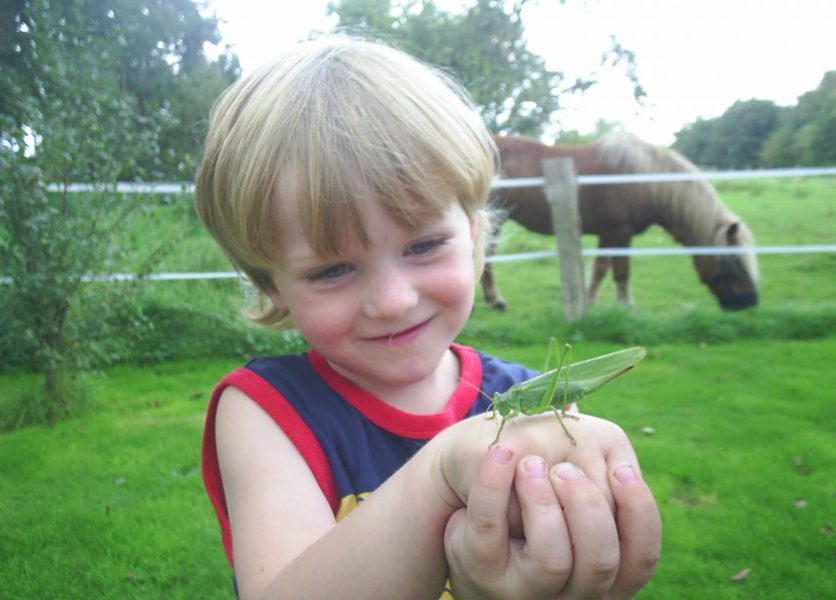 Foto - Grashüpfer von einem Jungen beobachtet