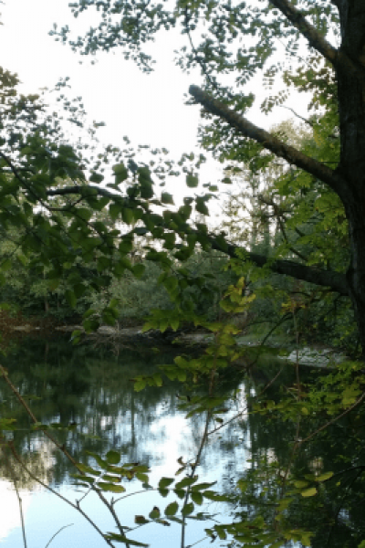 anteiliger Kiessee im Hortus Aicara