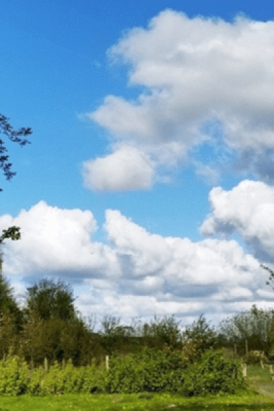 Gartenüberblick - Hortus Aicara