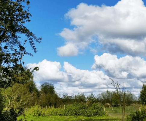 Gartenüberblick - Hortus Aicara