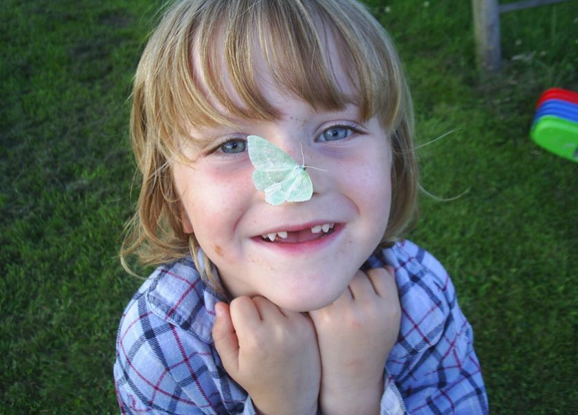 Foto - Perlglanzspanner Falter auf Nase eines Jungen